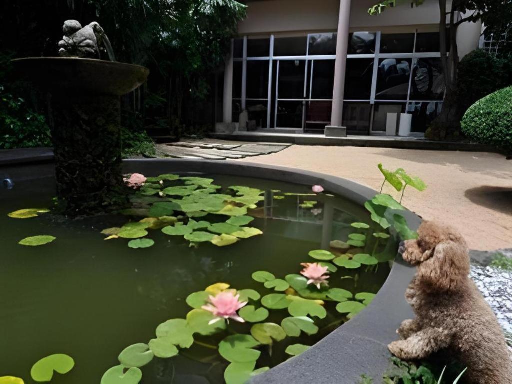 Hotel Shikino Kura Kawazu Luaran gambar